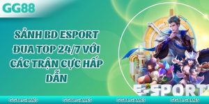 Sảnh BD Esport Đua Top 24/7 Với Các Trận Cực Hấp Dẫn